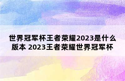 世界冠军杯王者荣耀2023是什么版本 2023王者荣耀世界冠军杯